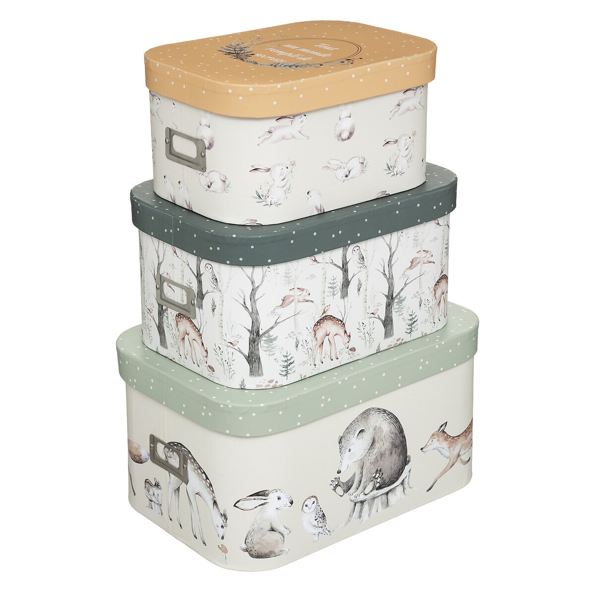 01W015125A Juego de 3 cajas de almacenaje Foret - Imagen 1