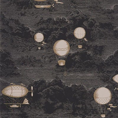 Papel pintado Expédition negro doré