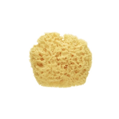 Esponja natural Premium