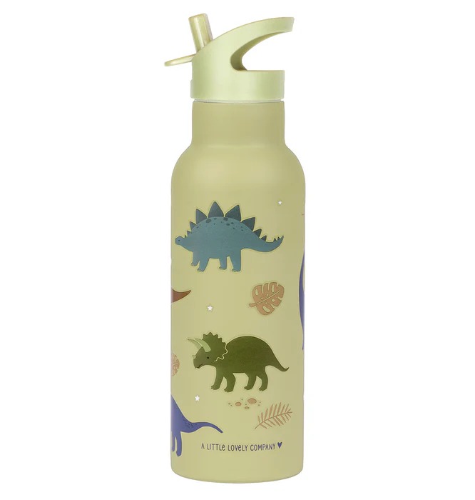 imgi_139_DBSXDI75-LR-1-SS-XL-drink-bottle-Dinosaurs Botella Infantil de Acero Inoxidable XL Dinosaurios de A Little Lovely Company - Imagen 1